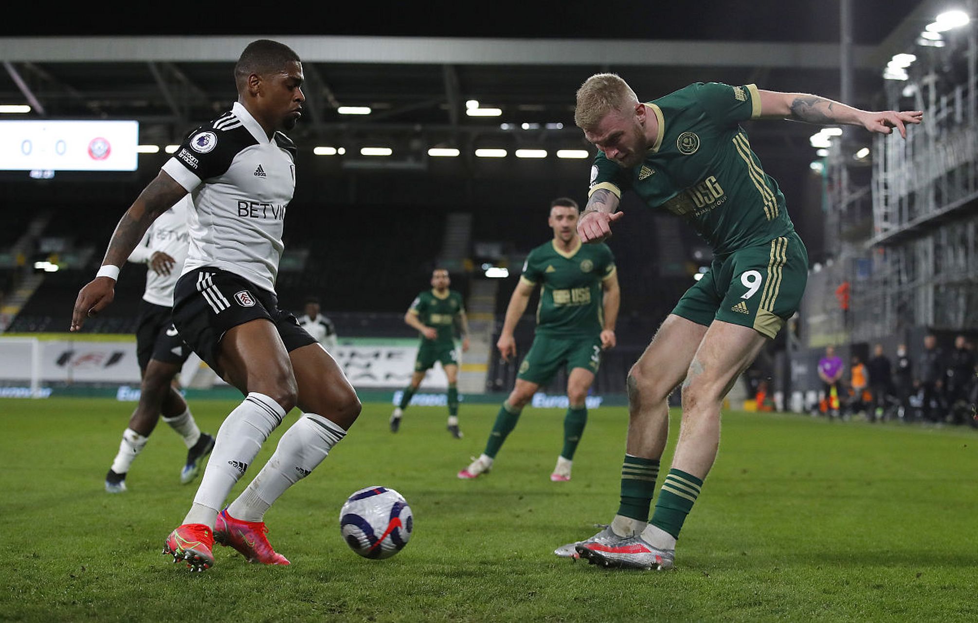 凯恩高调加 凯恩高调加