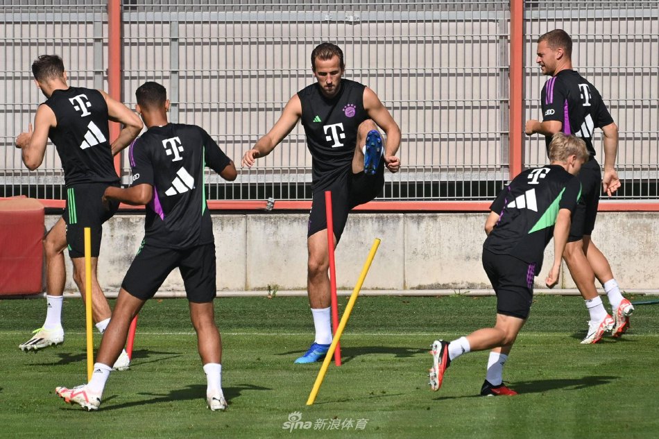 的年轻中场 的年轻中场